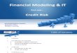 Financial Modeling & IT - Credit Risk & Swaps
