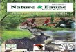 Nature and Faune Publication Vol. 26, Issue 1- Forest Sector in the Green Economy in Africa -