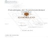 Codelco Informe RSE - MBA Final