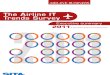Airline IT Trends Survey 2011 Exec Summary