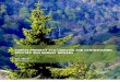 Forest Product Eco-Labeling and Certification: Efficacy and Market Drivers
