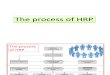 The Process of HRP