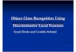 slide: Object Class Recognition Using Discriminative Local Features