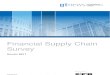 Financial Supply Chain Survey