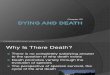 Insel11e_ppt23 Dying Death