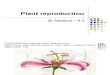 45049-1299618204-9.3 - plant reproduction