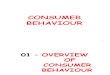01-Overview of Consumer Behaviour