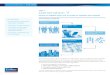 Colliers International Generation Y White Paper Issue