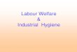 Copy of Labour Welfare With Statutory Prov