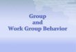 Group and Work Group Behavior. Ppp