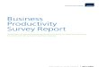 Business Productivity Report SMART