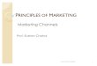 Primciples of Marketing -Marketing Channels