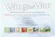 wings of war_uk