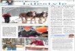 Vilas County News-Review, Feb. 1, 2012 - SECTION B