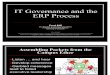 It-gov and Erp Process