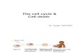 7.Lecture Apoptosis and Cell Cycle