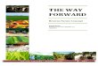 The Way Forward- Browns Farms-By Harindu Lorensu Hewa