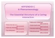 Appendix C: A Phenomenology, An Essential Structure of Caring Interraction