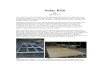 Solar Kiln by Bill Stuewe