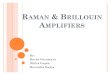 Raman & Brillouin Amplifiers