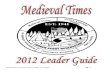 Medieval Leader Guide