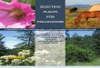 Selecting Plants for Pollinators: Middle Rocky Mountain Steppe - North American Pollinator Protection Campaign