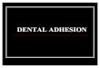Dental Adhesion
