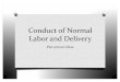 Conduct of Normal Labor and Delivery