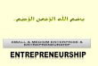 Entreprenuership Chapter the Nature & Importance of Entreprenurs Chapter1