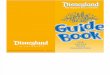 Disney Guidebook Disabiled Guests