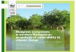 Mangrove ecosystems in western Madagascar: an analysis of vulnerability to climate change (WWF/2011)