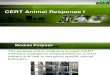 CERT PPT Animal Response I Final 071610