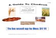 Chodosh Guide 5772 Pt1