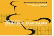 Advances in Silicon Carbide Processing and Applications (2004) WW
