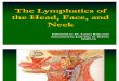 The Lymphatics of the Head, Face&Neck