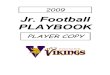 2008 09 a Squad Playbook Vikings