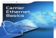 Carrier Ethernet Educational Series Chap 1 2 Ang