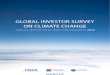 Global Investor Survey on Climate Change Report 2011