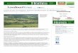 Land Trust of Virginia Honors Landowners in Piedmont Region | LoudounTimes