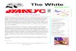 YAAEYC Spring Newsletter 2011