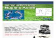 Intro NucleicAcid PDF