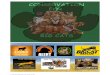 Conservation for Big Cats Project