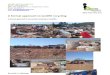 A Formal Approach to Landfill Recycling _Andile V