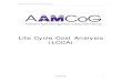 LifeCycle Costing Project Report April 2008 (2)