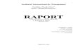 54996584-Raport-Practica (1)