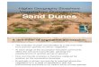 Dune Succession