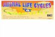 Animal Life Cycle-kkp