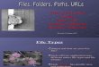 Files Paths Folders URLs