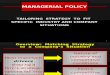 Strategic Fit_Managerial Policy