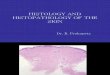 Histology and His to Pathology of the Skin_(Copy06)